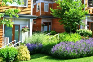 West 17th Frontage 1 West 17th Frontage 1