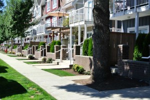 Brimley Mews Street Frontage