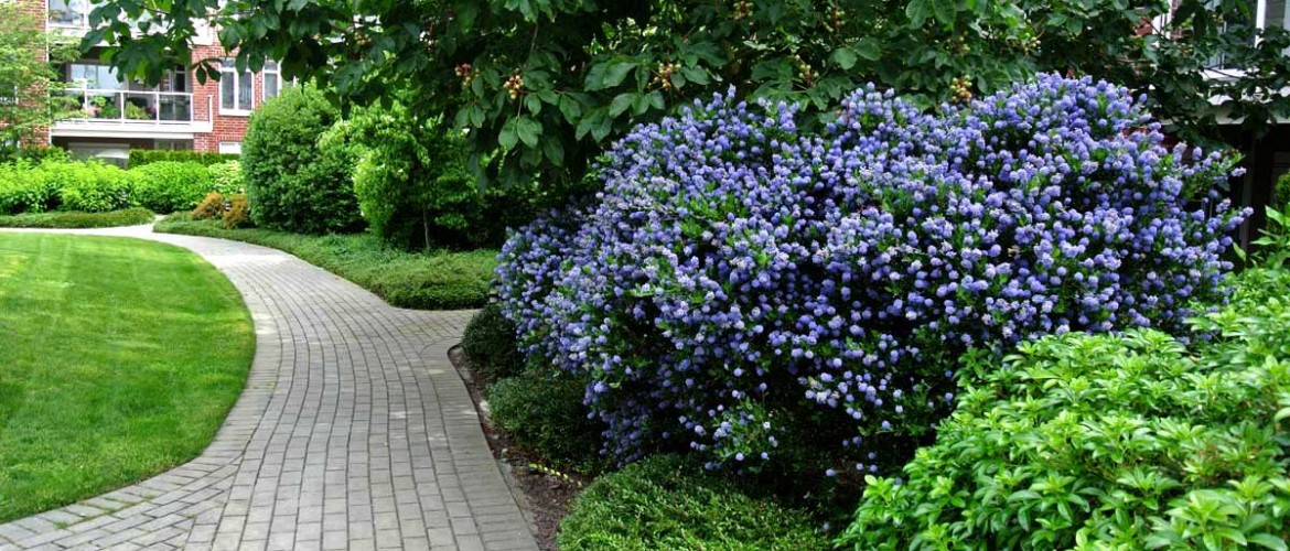 Imperial Landing Courtyard Path