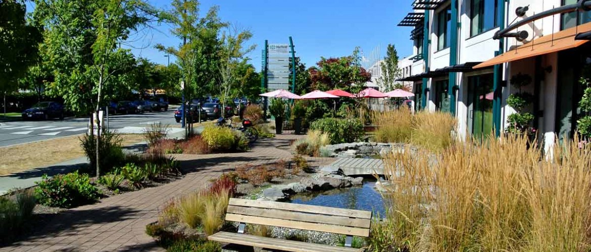 Harbourside Frontage Garden