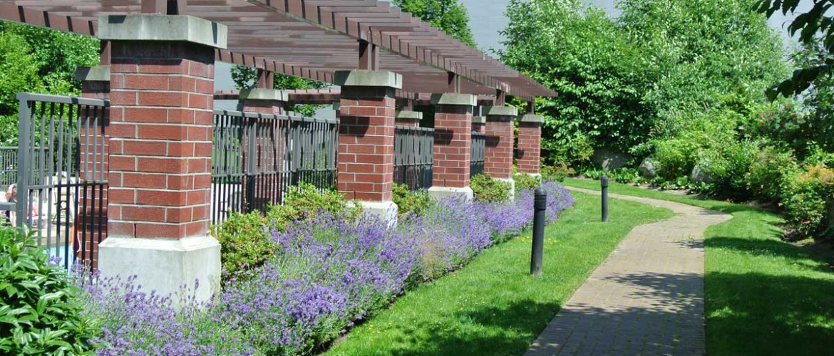The Marquis Grande Pool Trellis