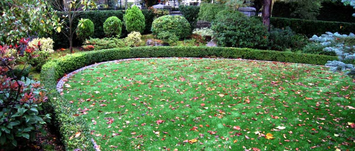 Osler Residence Side Garden