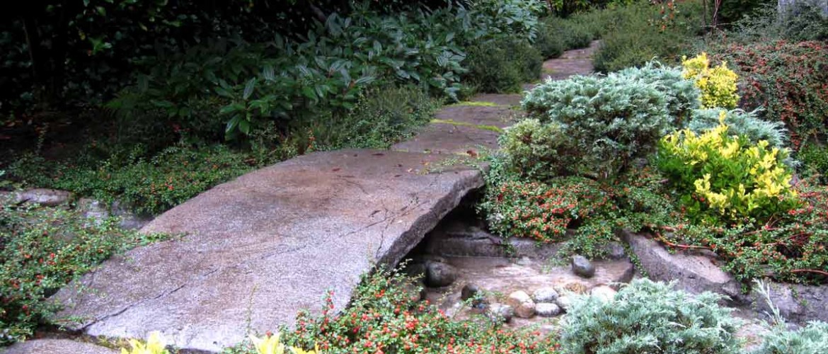 Osler Residence Stream with Bridge