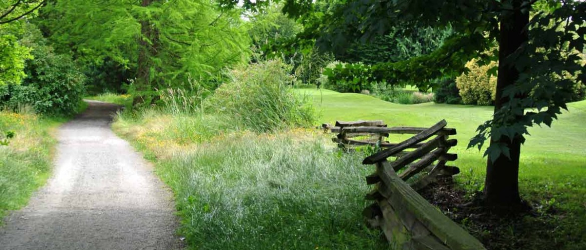 Rupert Park Urban Trail and Golf Course Edge