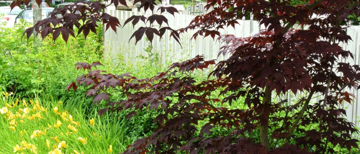 Imperial Landing Phase 1 Planting Detail